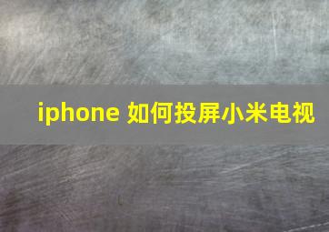 iphone 如何投屏小米电视